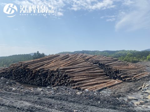 河道打樁為什么選擇松木樁來處理軟地基？-松木樁施工使用范圍