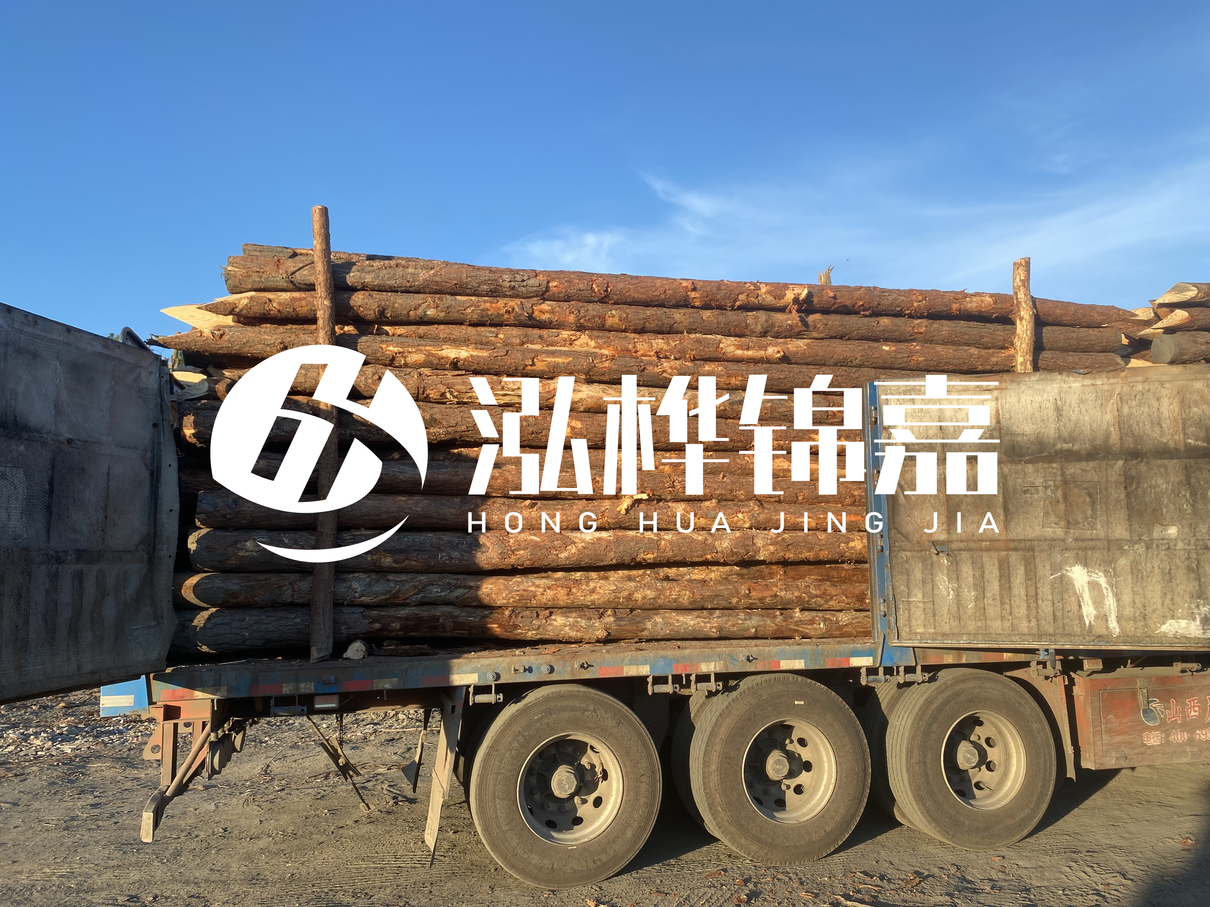 河道治理為什么要用松木樁？
