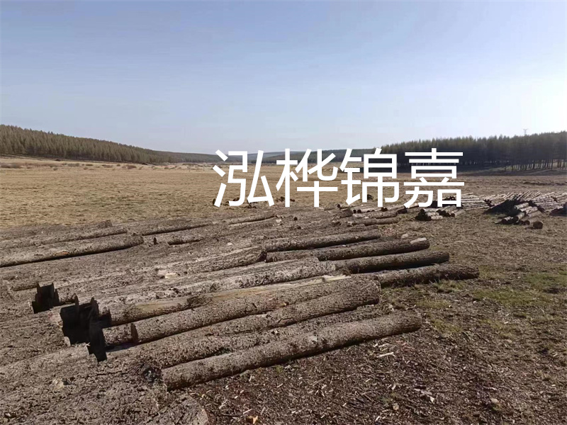 選擇什么木頭的床最好？